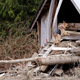 Illustration for article titled Hazard, Risk, and the Steelhead (Oso) Landslide in Washington